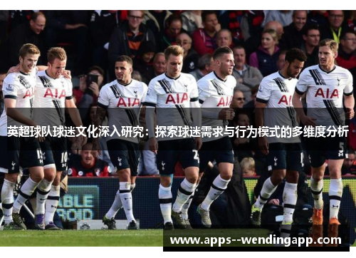 英超球队球迷文化深入研究：探索球迷需求与行为模式的多维度分析