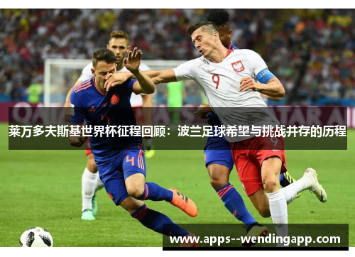 莱万多夫斯基世界杯征程回顾：波兰足球希望与挑战并存的历程