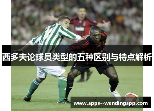 西多夫论球员类型的五种区别与特点解析 西多夫论球员类型的五种区别与特点解析