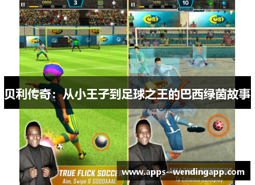 贝利传奇:从小王子到足球之王的巴西绿茵故事 贝利传奇:从小王子到足球之王的巴西绿茵故事