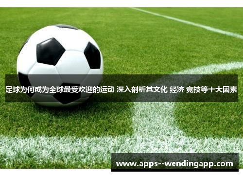 足球为何成为全球最受欢迎的运动 深入剖析其文化 经济 竞技等十大因素