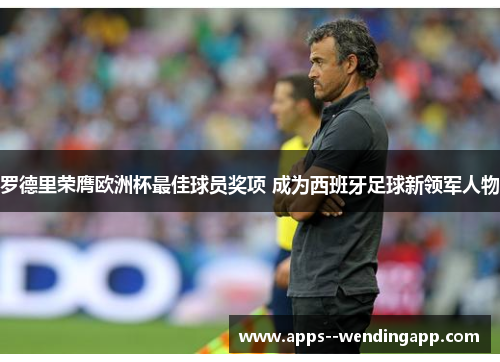 罗德里荣膺欧洲杯最佳球员奖项 成为西班牙足球新领军人物