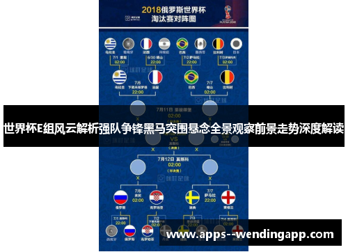 世界杯E组风云解析强队争锋黑马突围悬念全景观察前景走势深度解读