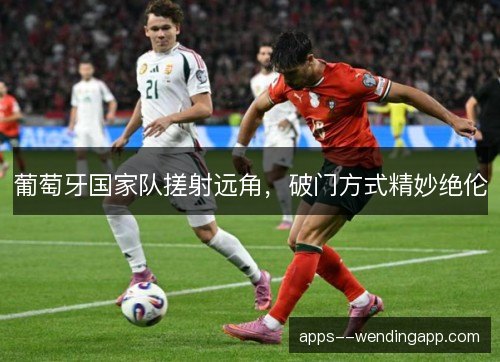 葡萄牙国家队搓射远角，破门方式精妙绝伦